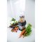 Nutri Ninja Pro Blender – BL456